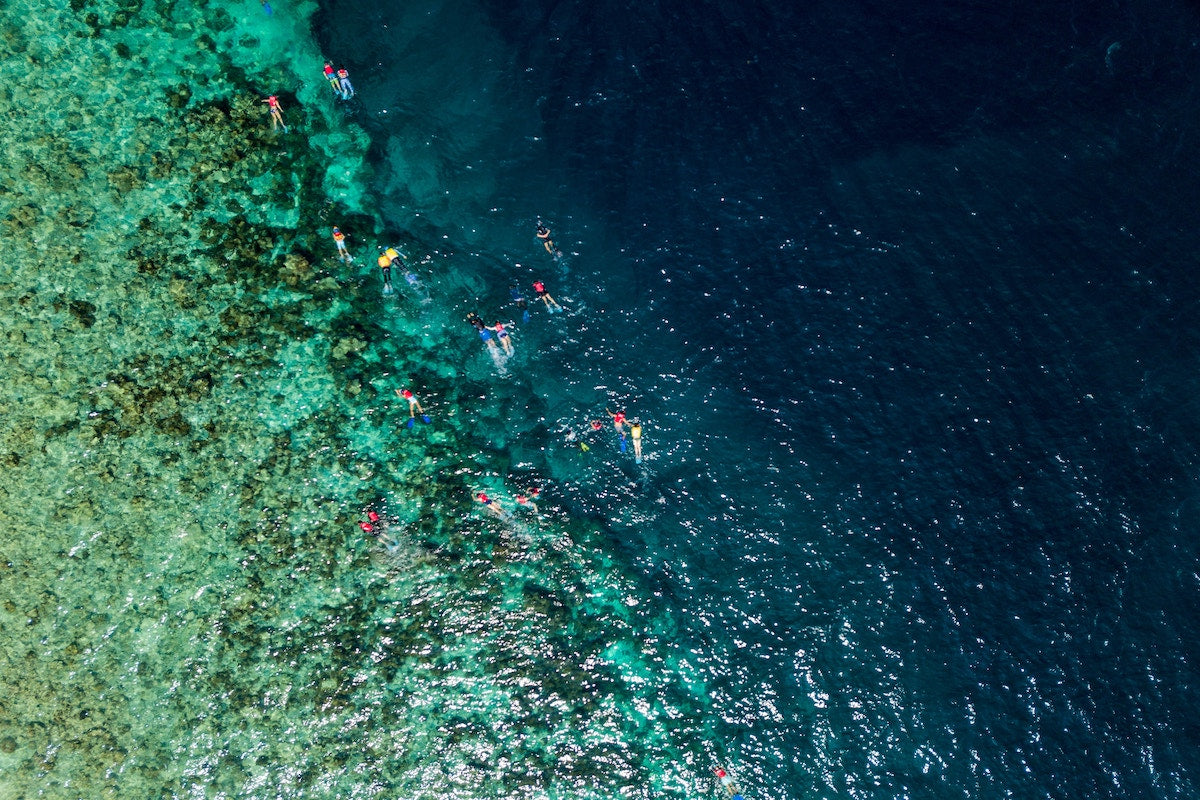 Aerial shot of people snorkelling in Koh Tao, Thailand.