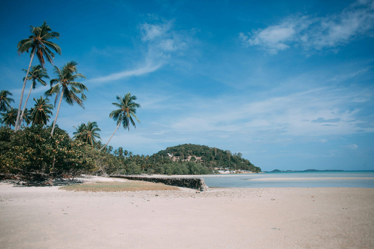 Palm trees on a white sand beach looking along the Koh Samui coastline