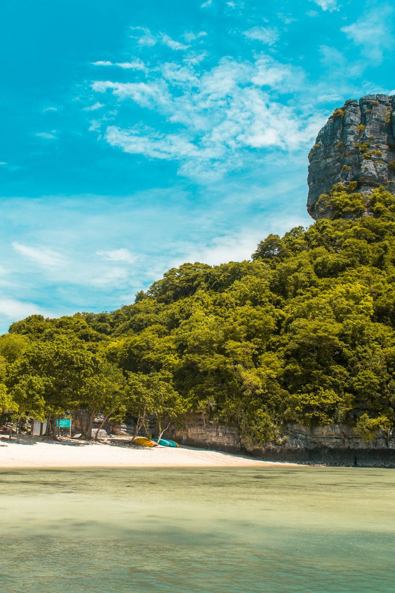Beach with green trees and a rocky outcrop under a blue sky.