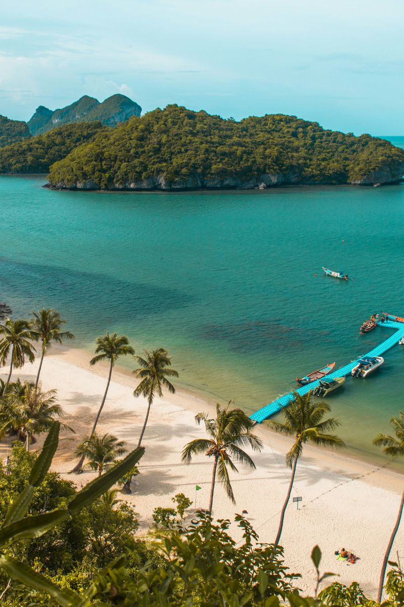 Tropical island with a sandy beach, clear blue water, and palm trees.
