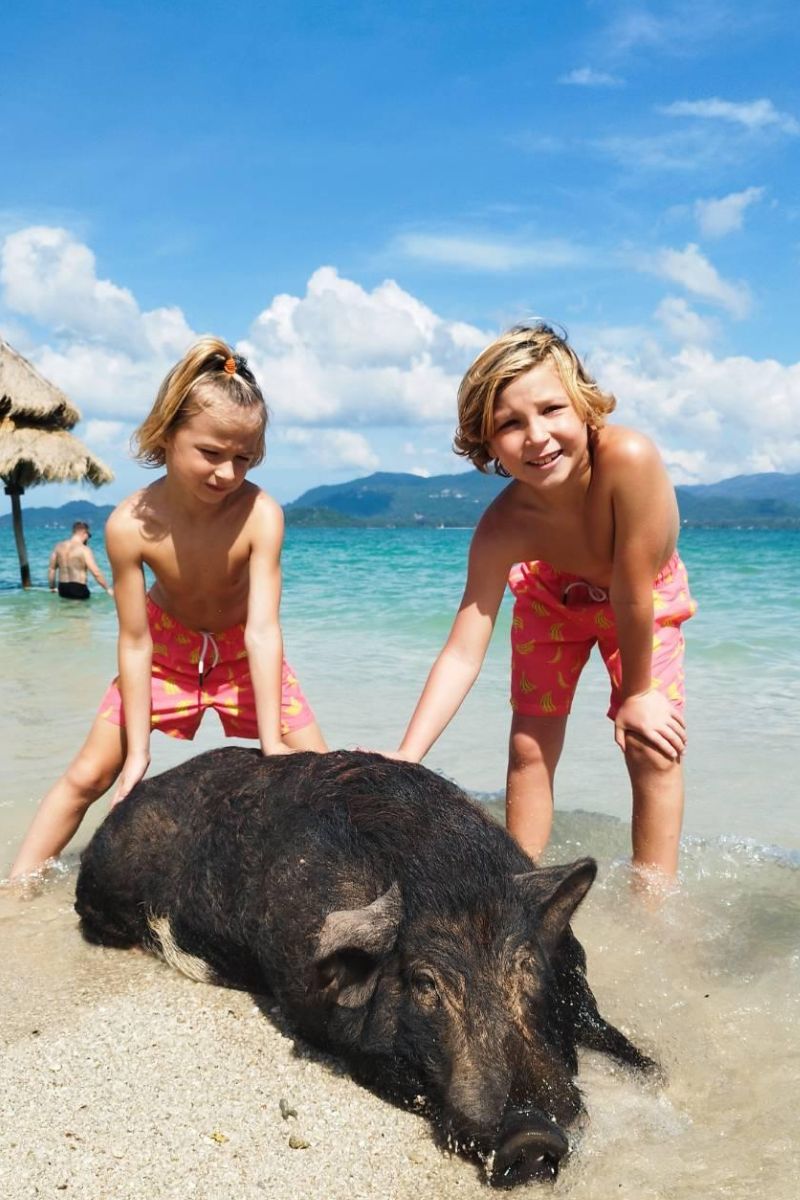 Two children playing with a pig on a beach