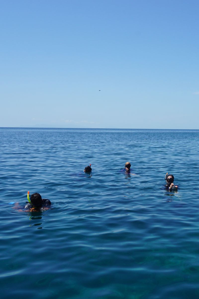 Four people snorkeling in clear blue water with a clear sky above.
