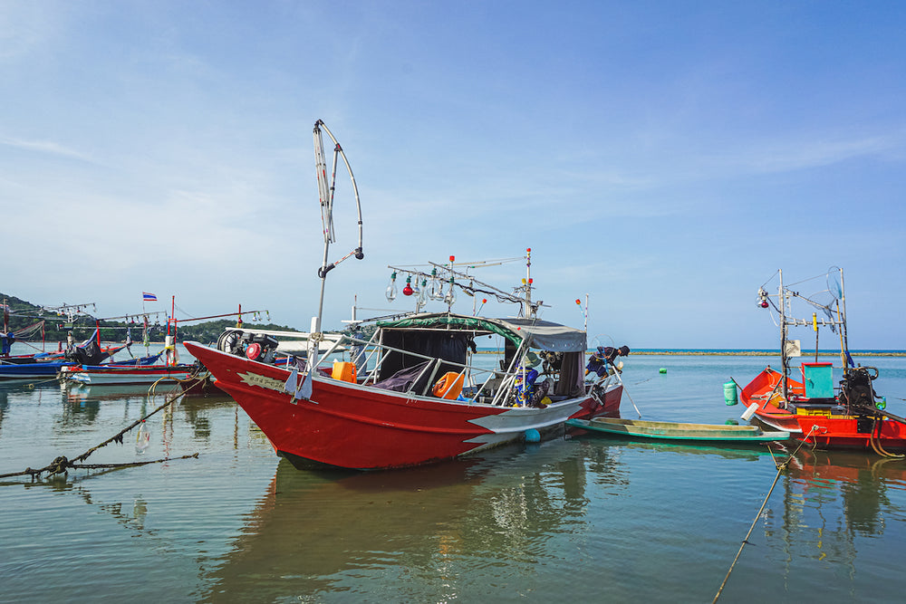 Private Fishing Charter Koh Samui | Exclusive Sea Fishing Experience