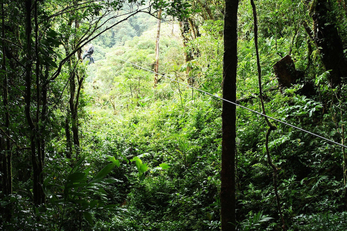 Jungle view of Koh Samui, Thailand. Ziplining adventure with Paradise Travel and Tours