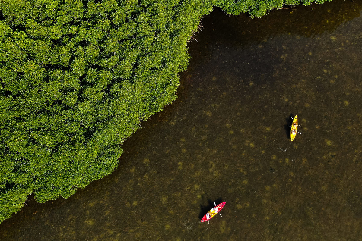 Aerial drone view of two kayaks, one red and one yellow, paddling near a mangrove forest in Koh Samui
