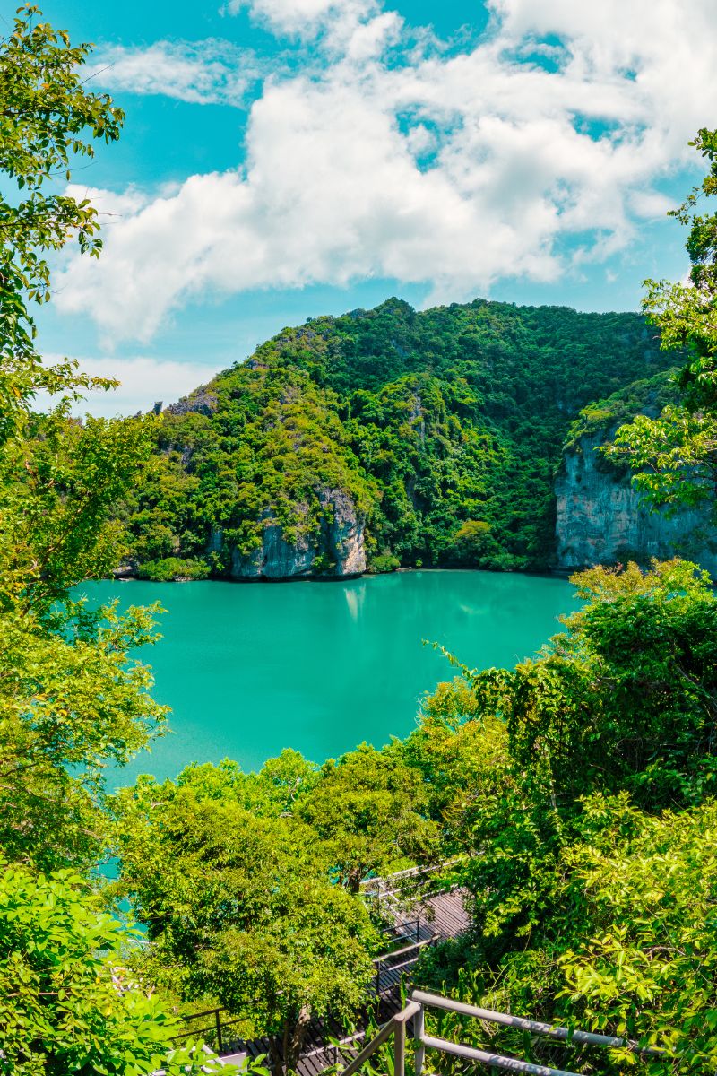 Lush green landscape with a turquoise lake and mountains under a blue sky.