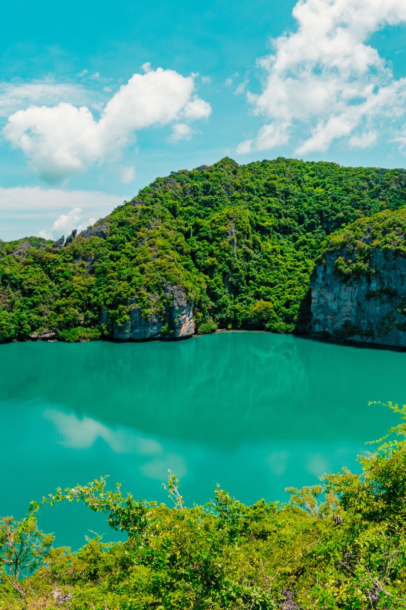 Lush green landscape with a clear blue lake and sky