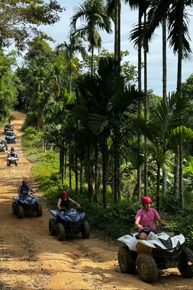 People riding ATVs on a dirt road surrounded by tropical trees
