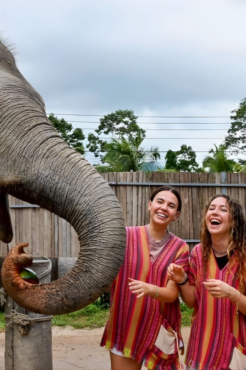 Two women in colorful outfits interacting with an elephant outdoors.