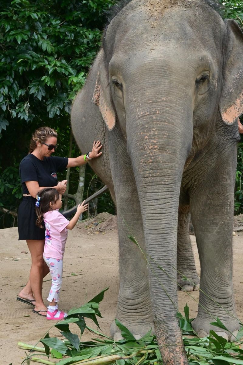 Woman and child interacting with an elephant in a natural setting