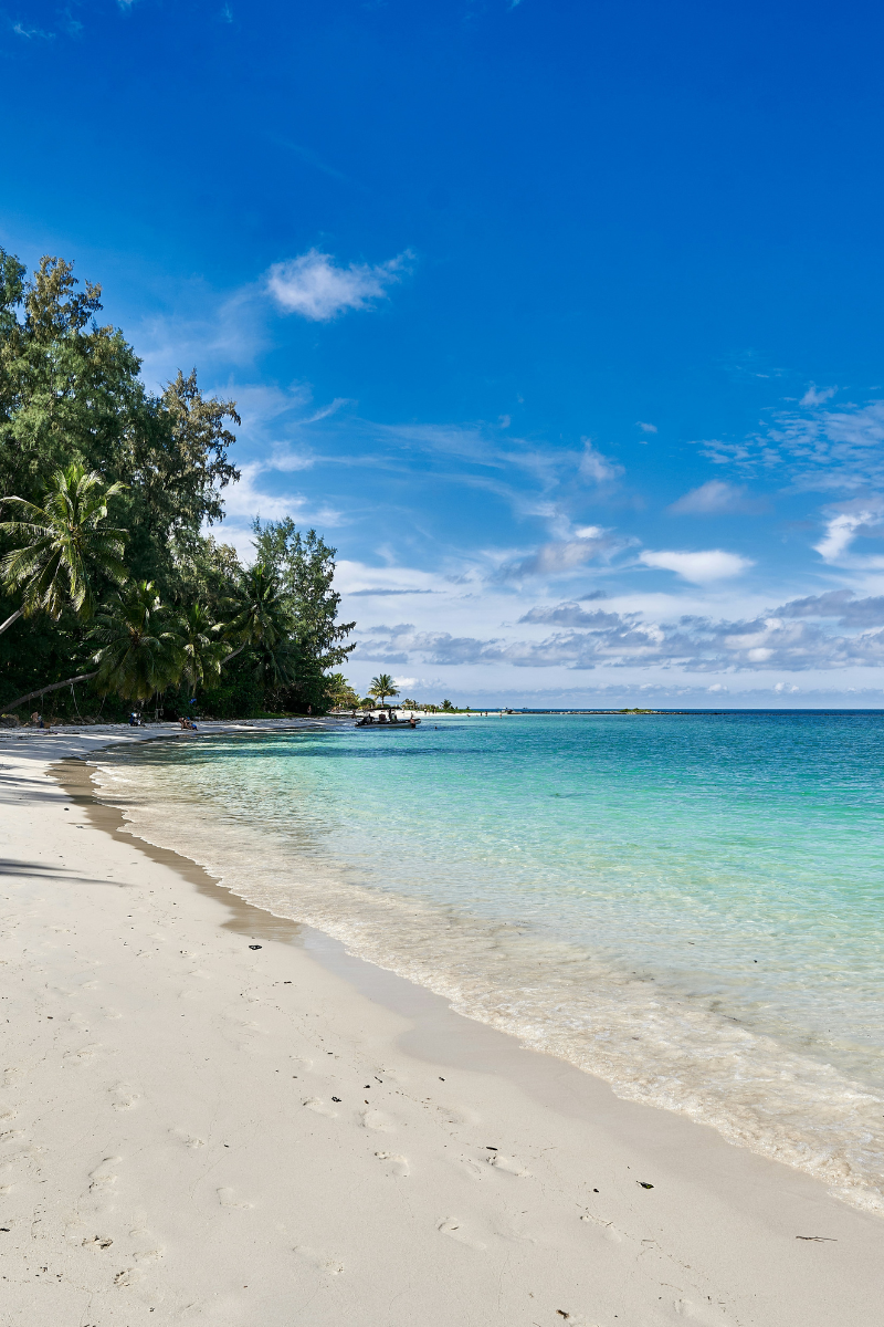 Koh Phangan Private Speedboat Tour