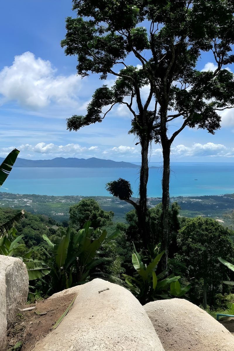 Scenic view of a tropical landscape with trees, rocks, and ocean.