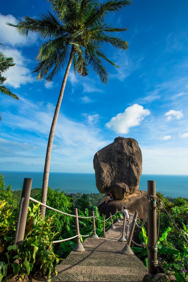 Rocks balancing on each other with a palm tree and ocean view