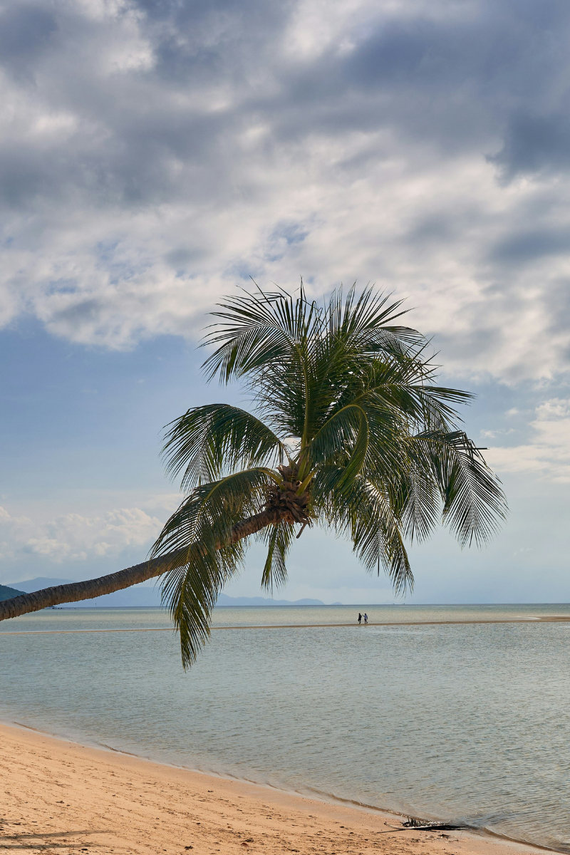 Koh Phangan Private Speedboat Tour