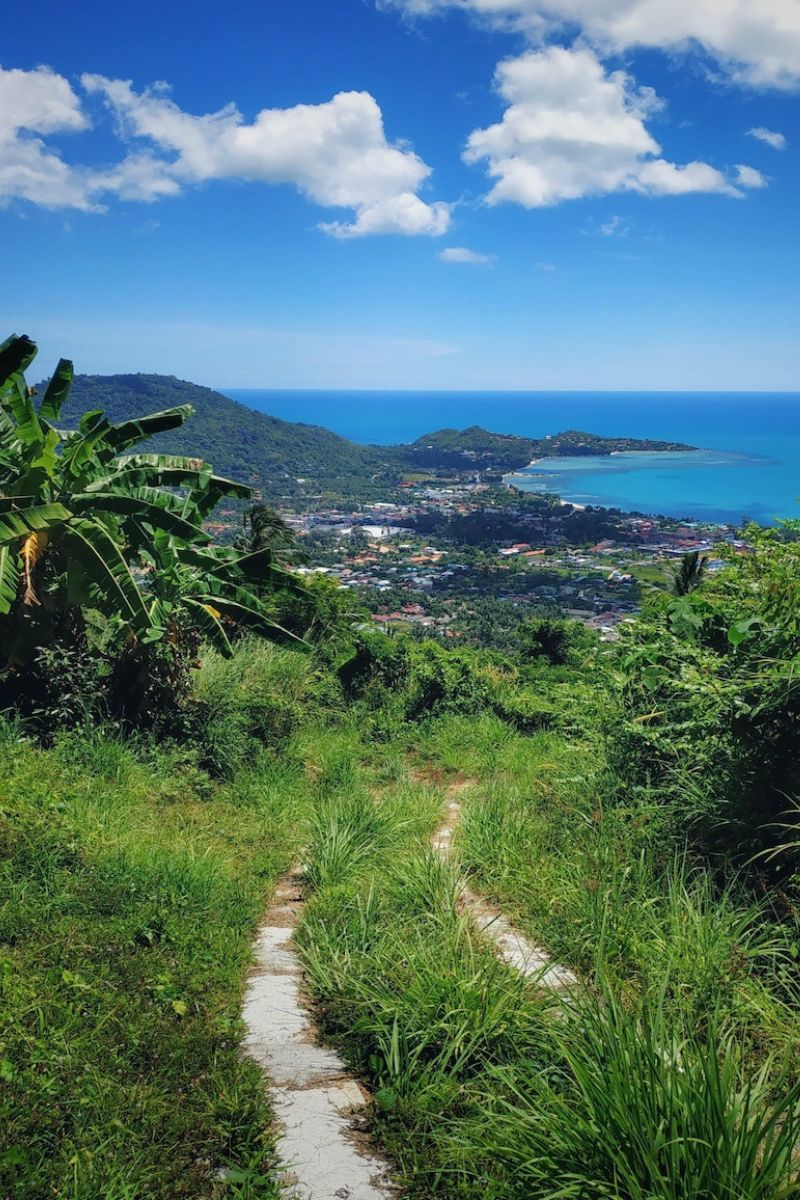 Pathway through greenery leading to a coastal town with blue ocean and sky.