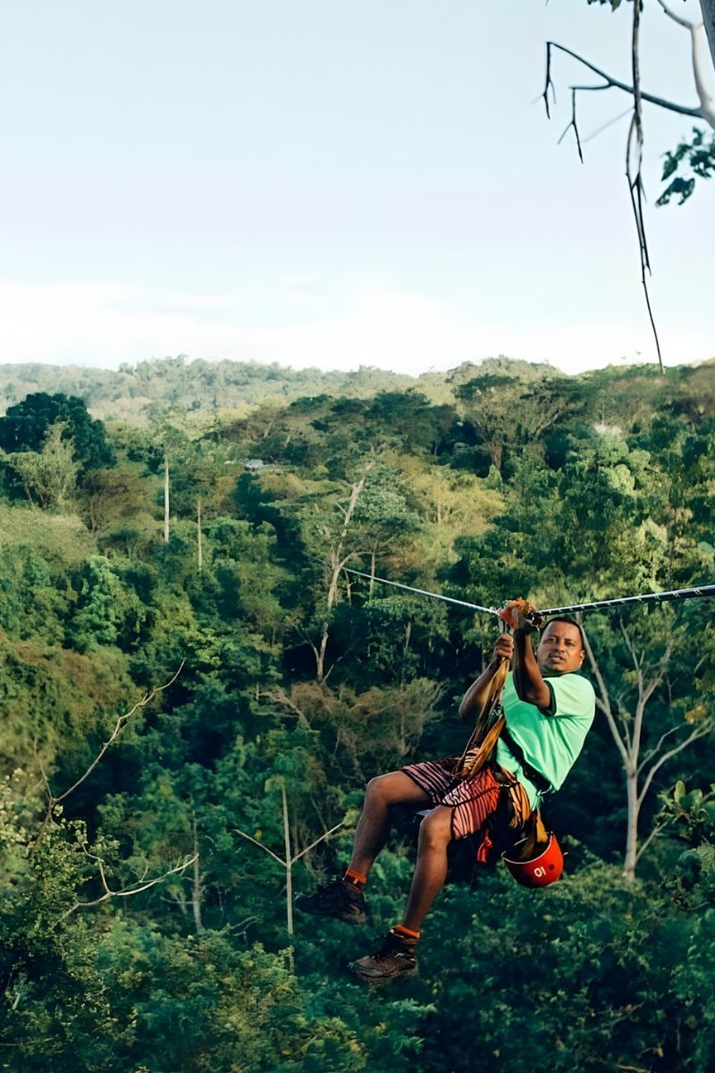 Person ziplining through a lush green forest