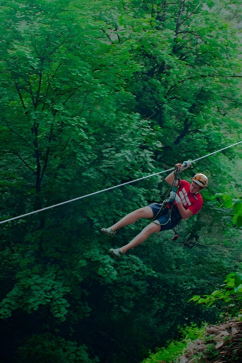 Person zip-lining through a dense forest