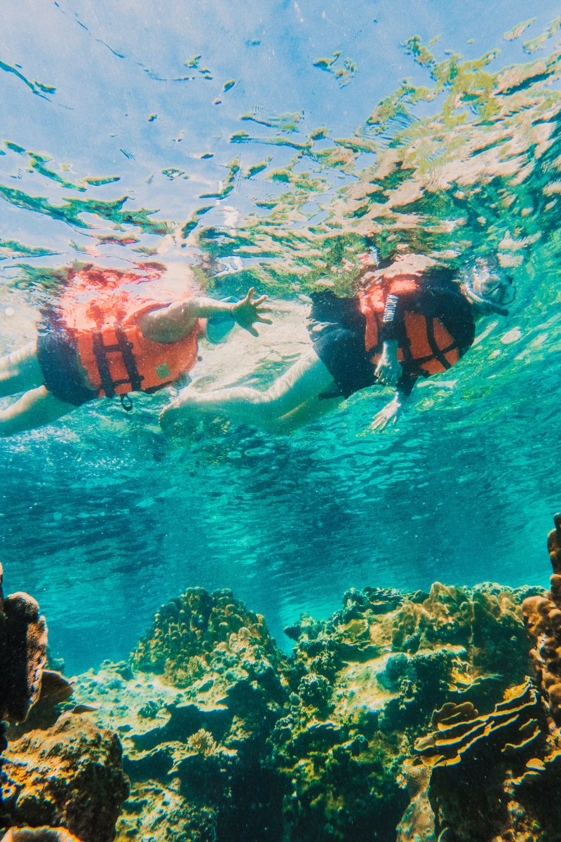 Two people snorkeling underwater with coral and fish in the background